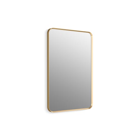 Kohler Essential 24" W x 36" H Transitional Rectangular Metal Framed Bathroom Wall Mirror Moderne Brushed Gold