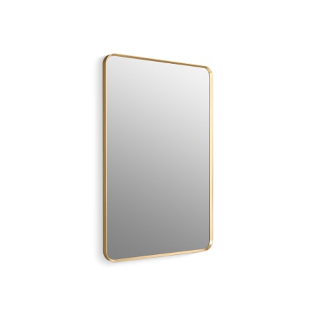 Kohler Essential 30" W x 45" H Transitional Rectangular Metal Framed Bathroom Wall Mirror Moderne Brushed Gold