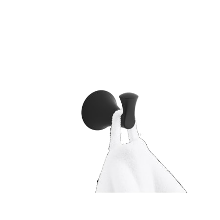 Alternate Image