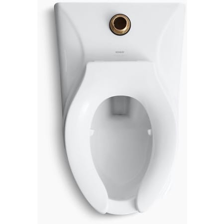 Kohler-K-4325-L-Top View