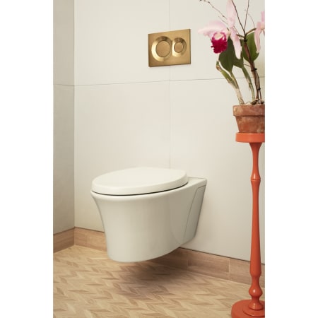 Kohler-K-6299-Alternate Image 1