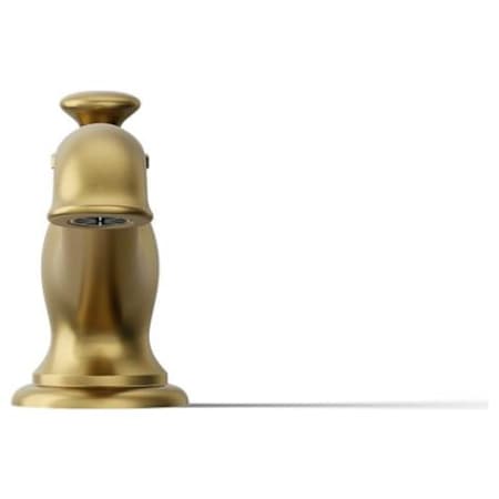 Alternate Image