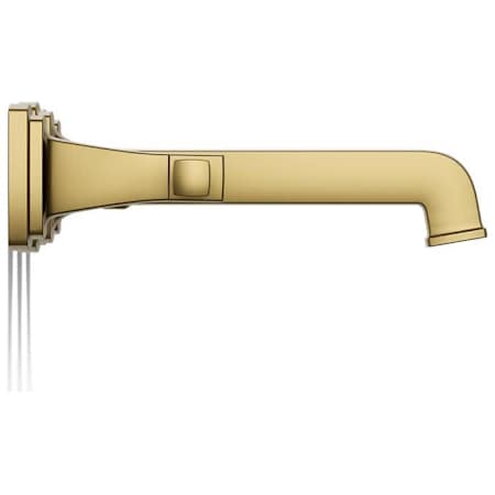 Alternate Image