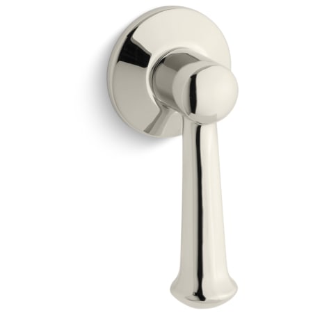 Vibrant Polished Nickel