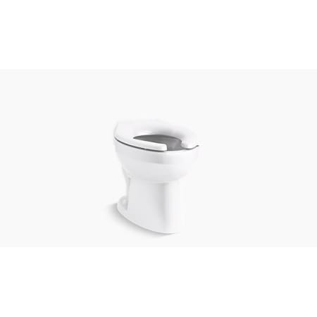 Kohler Wellcomme 1.28/1.6 GPF Floor Mounted Elongated Toilet - Bowl Only White