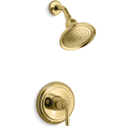 Vibrant Polished Brass
