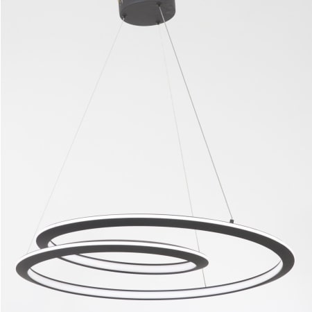 Pendant with Canopy