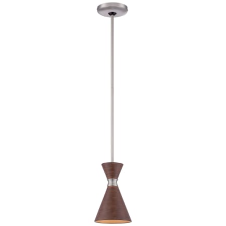 Pendant with Canopy