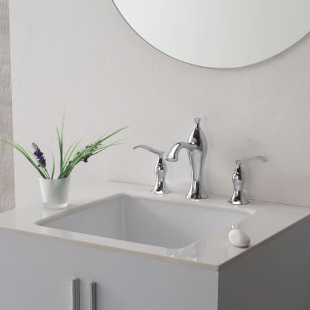 Installed Faucet View