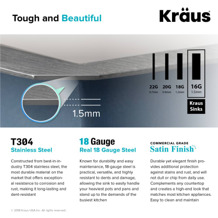 Kraus-KHU19-Alternate Image