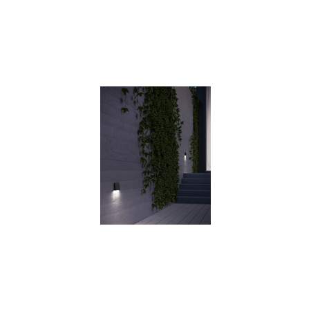 Alternate Image