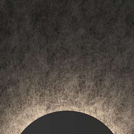 Alternate Image