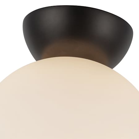 Alternate Image