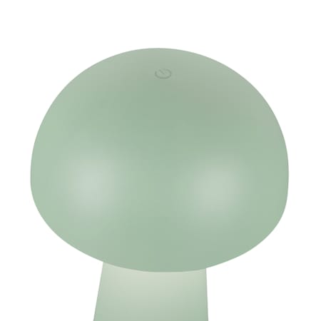 Alternate Image