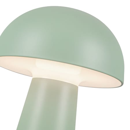 Alternate Image