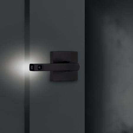 Alternate Image