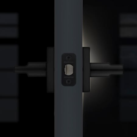 Alternate Image
