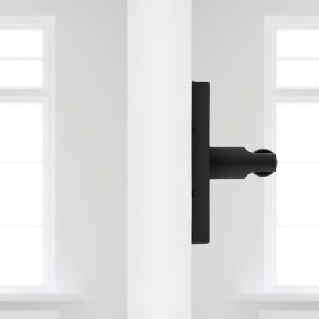 Alternate Image