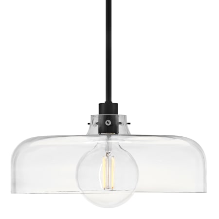 Lark Maisie 15" Wide Pendant with Clear Glass Shade Black