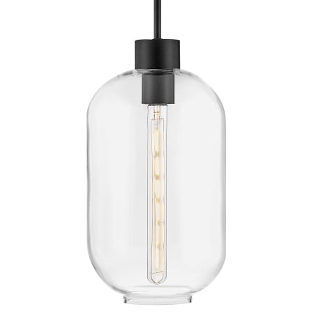 Lark Greer 9" Wide Mini Pendant with Clear Glass Shade Black