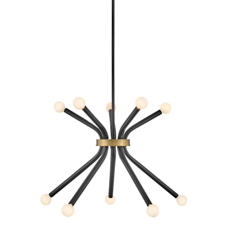 Lark Axton 10 Light 28" Wide Sputnik Chandelier Black