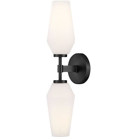 Lark Gio 2 Light 21" Tall Bathroom Sconce Black