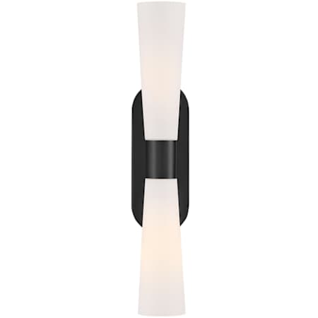 Lark Beau 2 Light 24" Tall Bath Bar with Etched Glass Shades Black