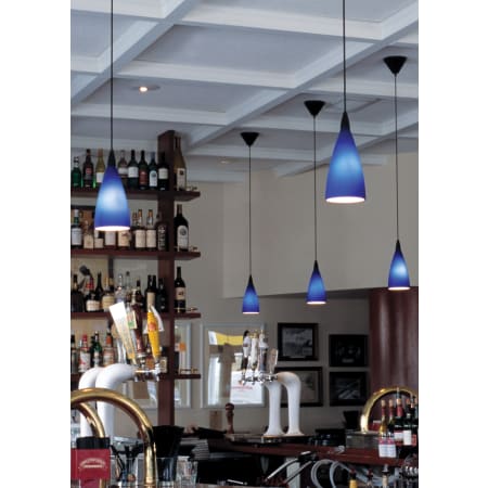 Blue Glass - Foodservice Application
