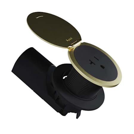 Legrand Pass & Seymour Kitchen Countertop Outlet Lid Champagne Bronze