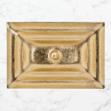 Linkasink 23" Rectangular Glass Undermount Bathroom Sink with Metal Leaf Accent Glass with Brass