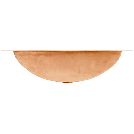 Alternate Image