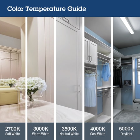 Color Temperature Infographic