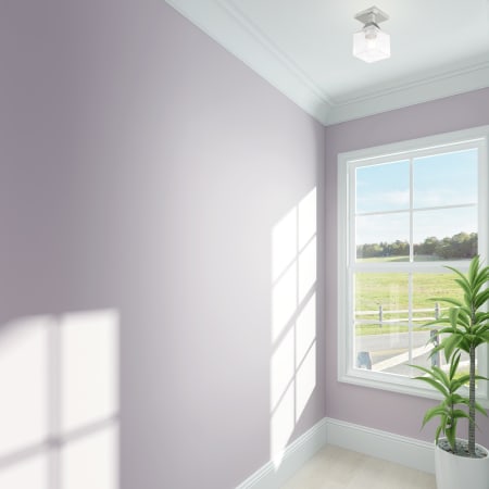Lifestyle View