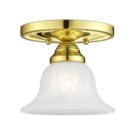 Polished Brass