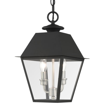 Livex Lighting Wentworth 2 Light 9" Wide Commercial Mini Pendant Black