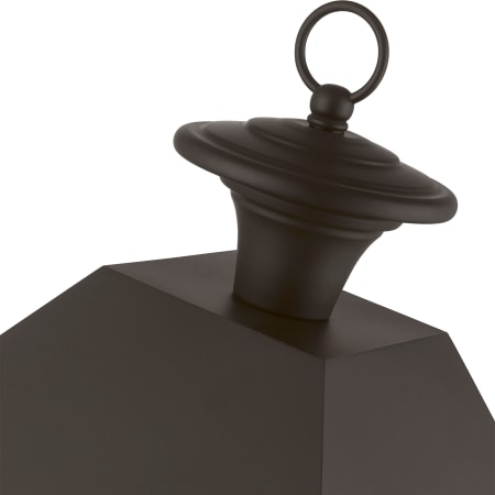 Alternate Image