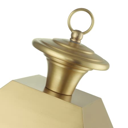 Alternate Image