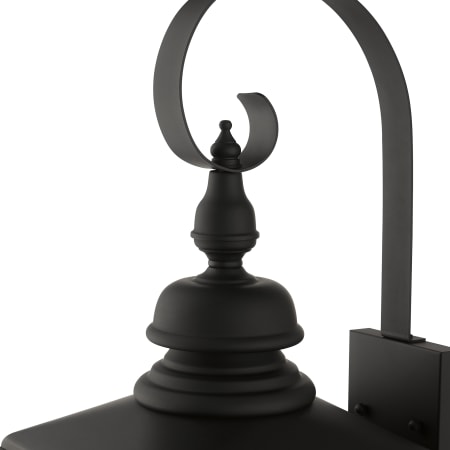 Alternate Image