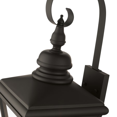 Alternate Image