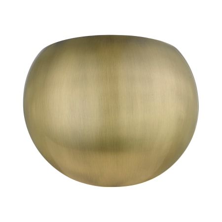 Alternate Image