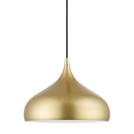 Livex Lighting Amador 12" Wide Pendant Soft Gold / Polished Brass