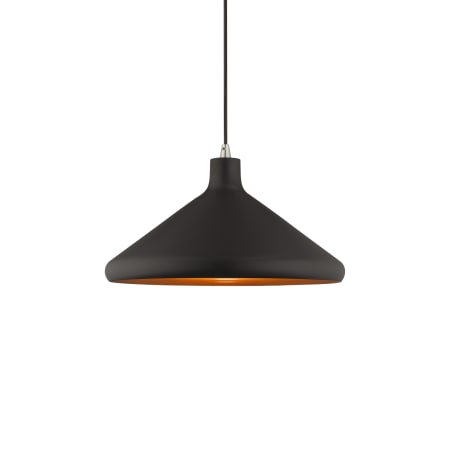 Livex Lighting Single Light 15" Wide Pendant Black