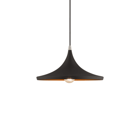 Livex Lighting Single Light 14" Wide Pendant Black
