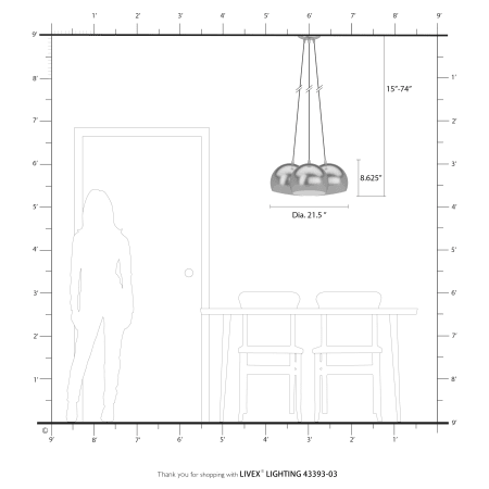 Alternate Image