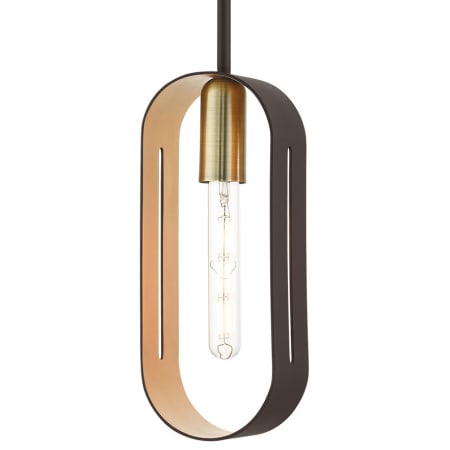 Livex Lighting Ravena 5" Wide Mini Pendant Bronze with Antique Brass Accents