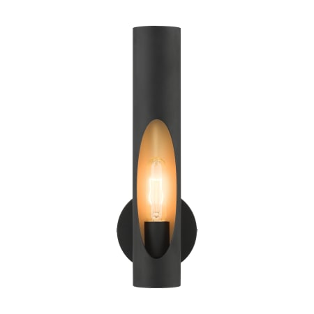 Livex Lighting Novato 16" Tall Wall Sconce Black