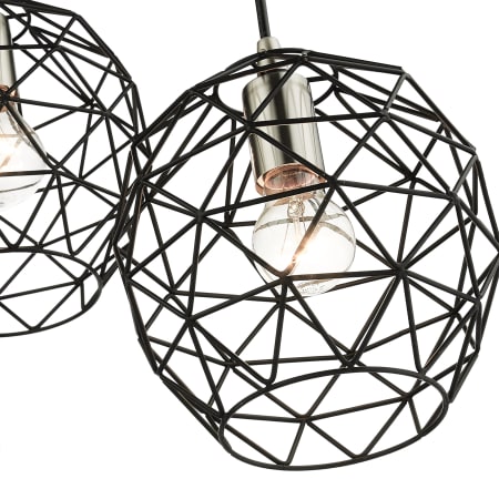 Alternate View
