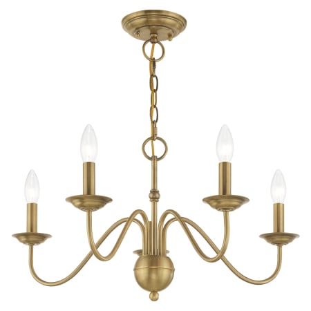 Alternate Angle (Antique Brass)
