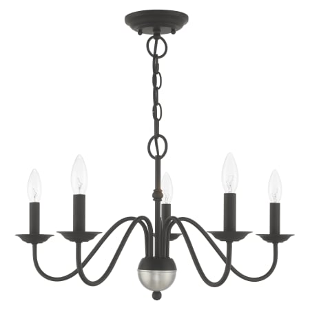 Alternate Angle (Black)