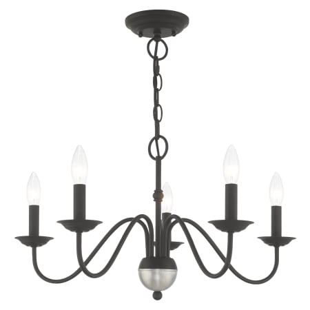 Alternate Angle (Black)